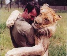 Hug the lion