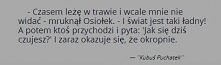 Kłapouchy. ;c