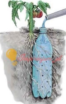 system nawadniający :)