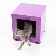 Qubus w kolorze jagodowym- ...