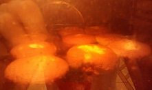 budyniowa muffinka  mniam