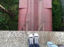 Znalazłam moje miejsce na spacery =^u^=