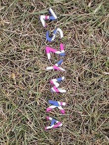 Moją inspiracją była głównie Wielka Brytania.Napis ZSZYWKA wykonałam w kolorach flagi Wielkiej Brytani i ułożyłam na skoszonej trawie