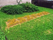 Jak kreatywne LATO to muszą być kwiaty!