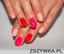 od łososia po róż