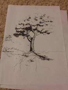 DRZEWO A3 •cienkopis 0,1 •c...