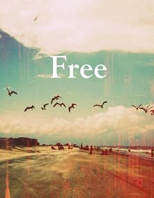free ★