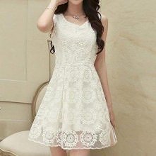 Fashion Round Neck Hollow Out Embroidery Sleeveless Organza Dress