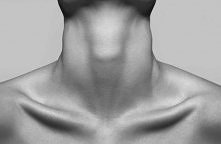 Lubicie wystające obojczyki? :)