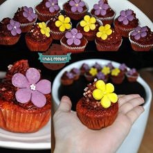 Lenka Cookies na facebooku