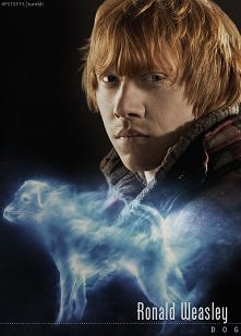 ron weasley