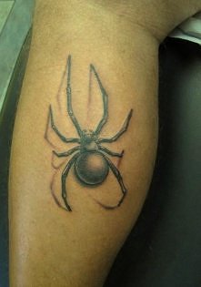 spider tattoos