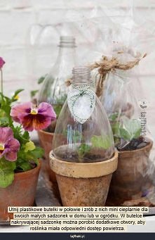 Jak zrobić cieplarnię dla s...