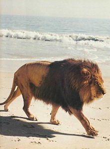 Relaks na plaży;-) i morska kąpiel!