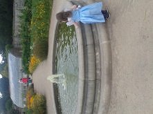 kilka zdj z mojego pobytu w Irlandii (07.2014)
 Botanic Garden