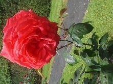 kilka zdj z mojego pobytu w...