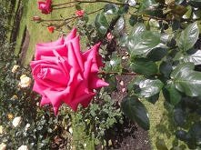 kilka zdj z mojego pobytu w...