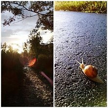 W stronę słońca... :)