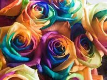 Mieć takie róże<3 marzen...