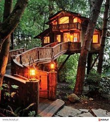 domek na drzewie