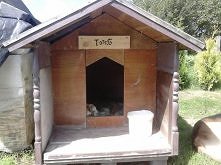 takie wypirowane dla psa XD