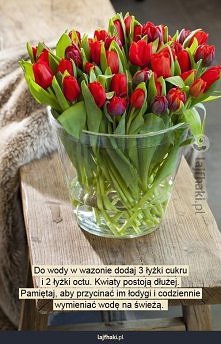 Jak przedłużyć życie kwiató...