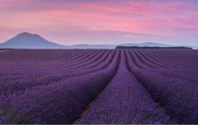 foto Daniel Kordan