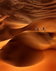 ~The secret of life
 is bal...