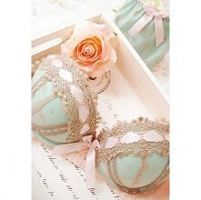 Padded Lace Bra and Panty Set