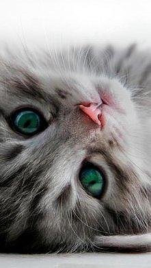 ahhh te oczka ♥♥♥