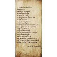 Wszystko zawarte w tak niew...