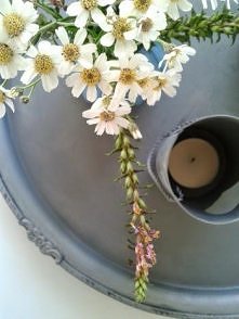 Niedzielne popołudnie