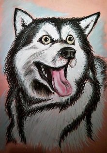 Husky