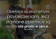 Obietnice są szlachetnymi...