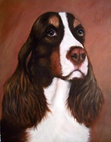 Springer spaniel, olej na p...