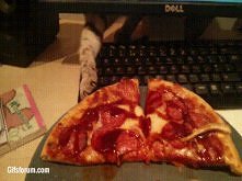 Kot podkrada pizze;)