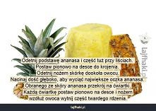 Jak obrać ananasa?