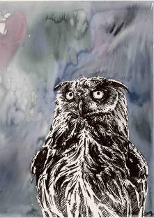 Owl at Night Mini