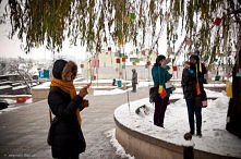 Drzewko Życzeń w Lublinie.