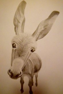 mój pierwszy tego typu rysu...