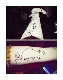 mój nowy nabytek :)