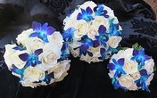 niebieskie orchidee