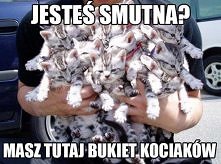 To moi krewni !!! <33