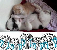 Oooo jakie to słodkie <333