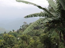 Azja południowo-wschodnia