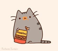 pusheen