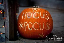 hocus pocus