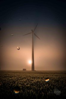 Nie wiedziałam że Mariusz Wlazły potrafi robić takie zdjęcia bardzo piękne <3