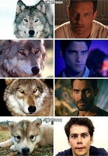 Chyba nie ma potrzeby żebym pisała, który wilczek jest tu najsłodszy ;)