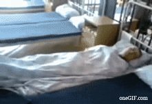 wstajemy, wstajemy, pora ćw...